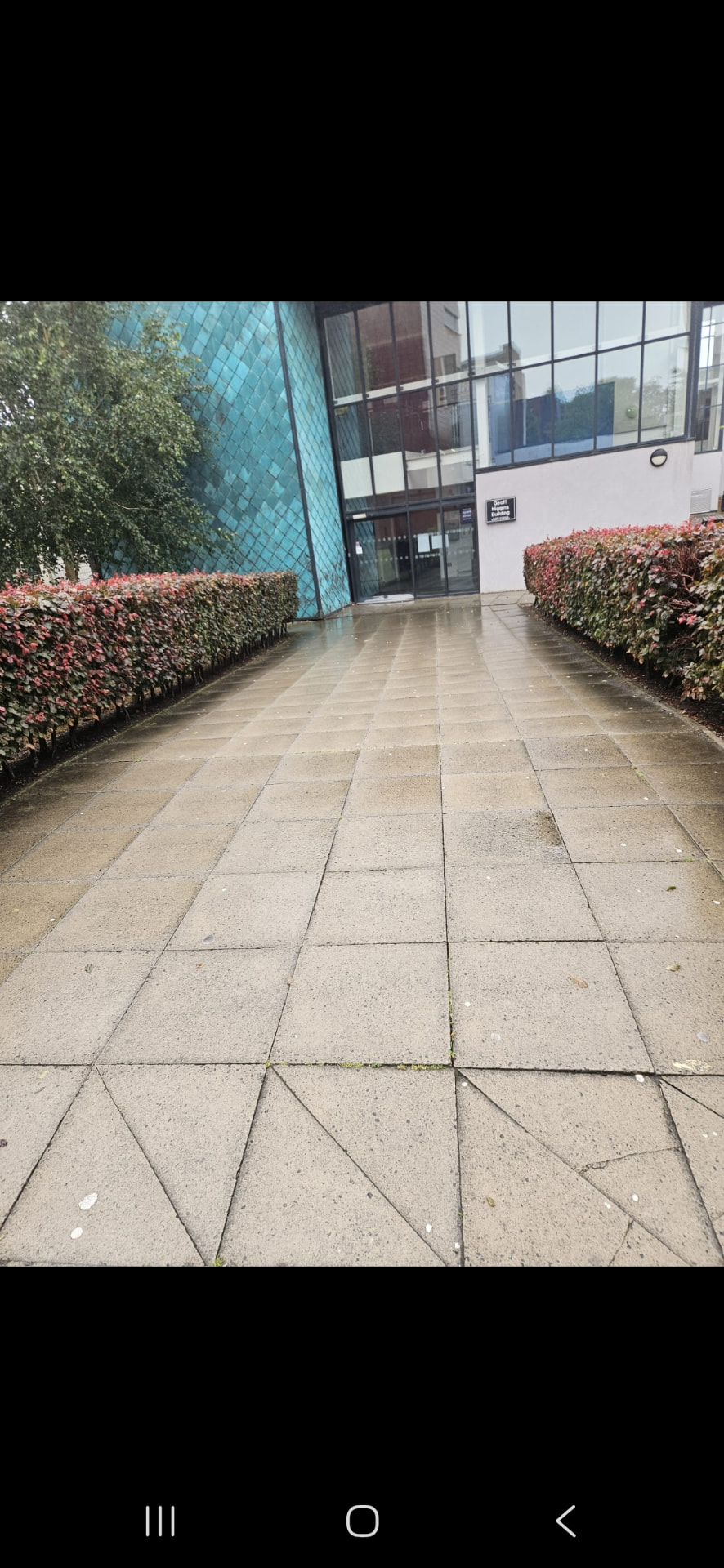 Paved walkway restored after pressure washing
